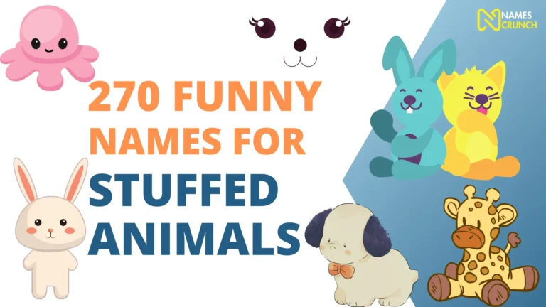 270 Funny Names for Stuffed Animals