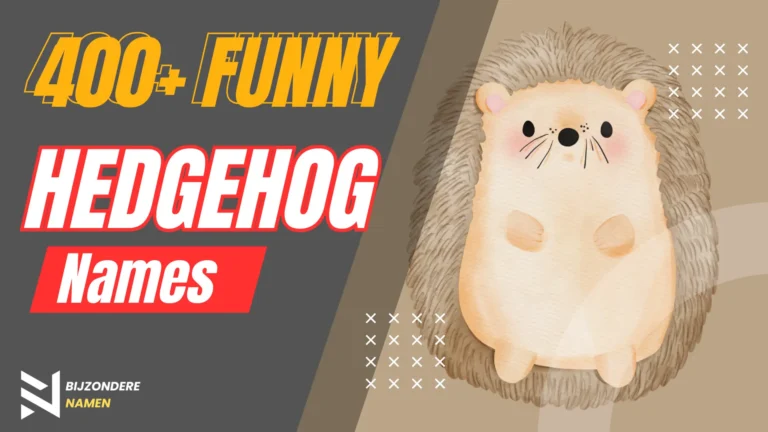 400+ Funny Hedgehog Names