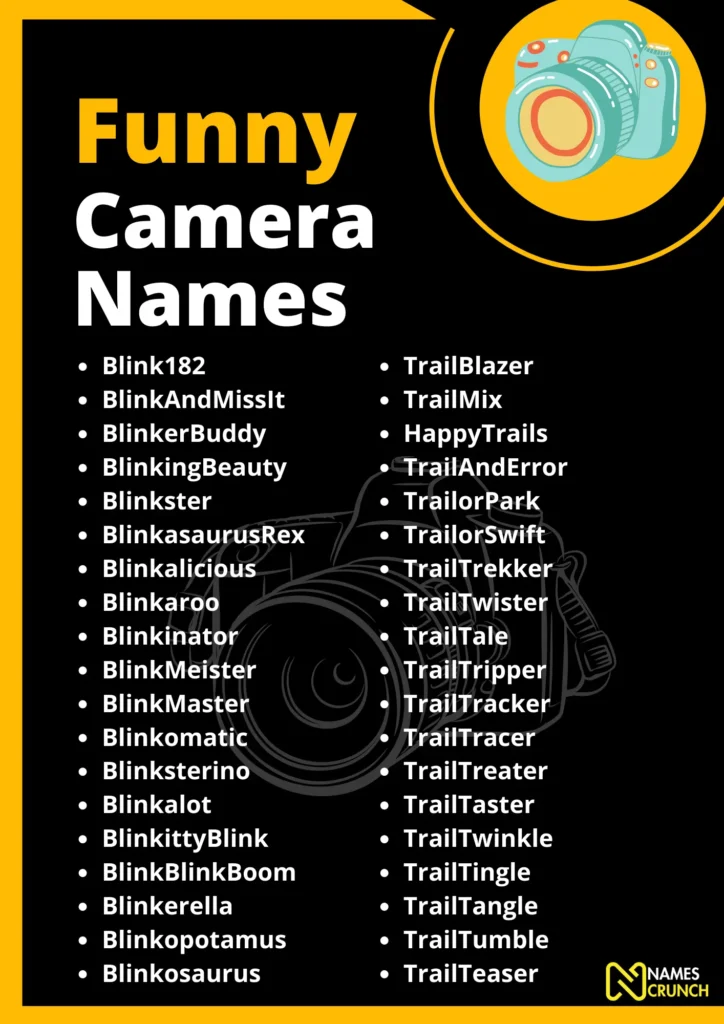 Funny Camera Names - Infographic by Names Crunch