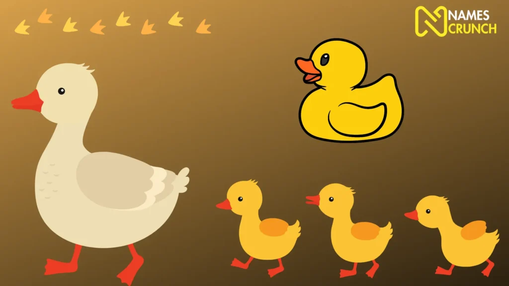Funny Duck Names Ideas - Names Crunch