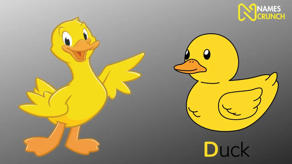 Funny Female duck Names