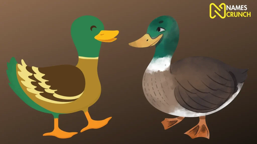 Funny Twin Duck Names  - Duck-Tastic