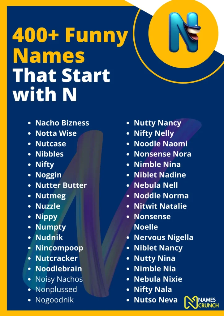 Funny Names That Start With N infographic