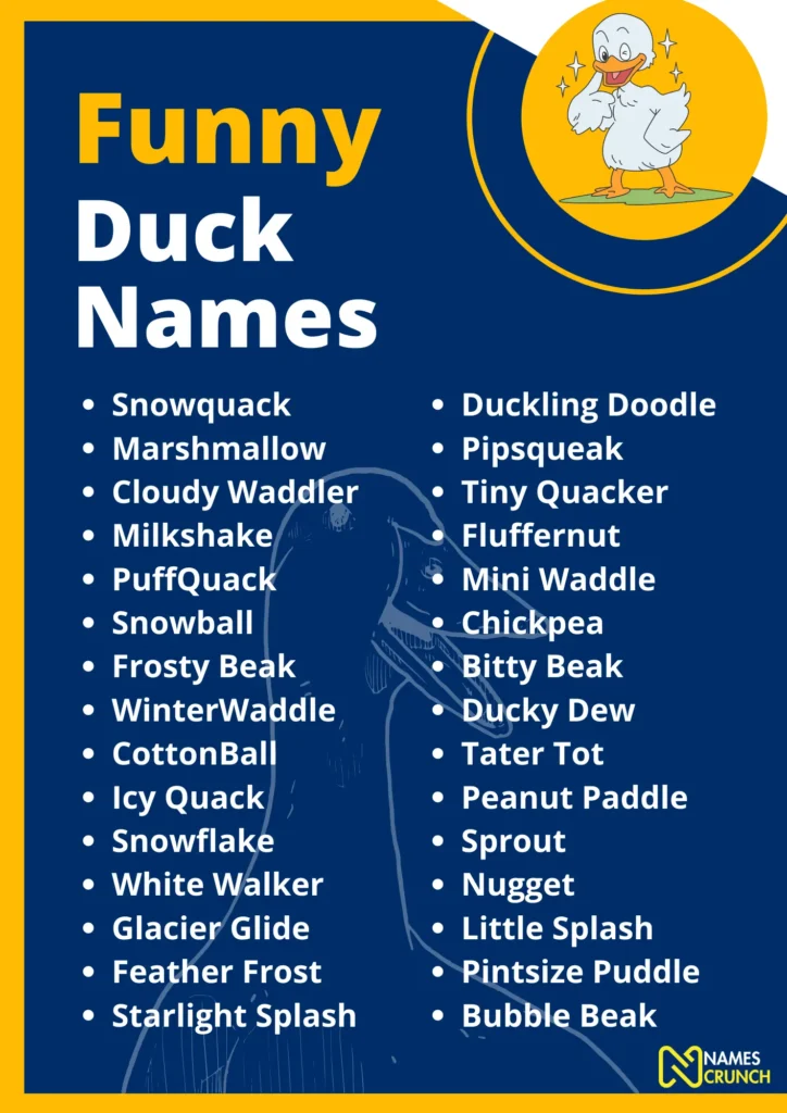 Funny Names for a Duck - Infographic By NAMES CRUNCH