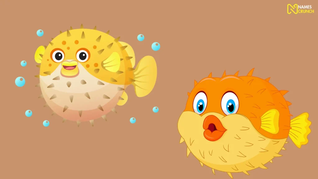Funny Puffer Fish Names