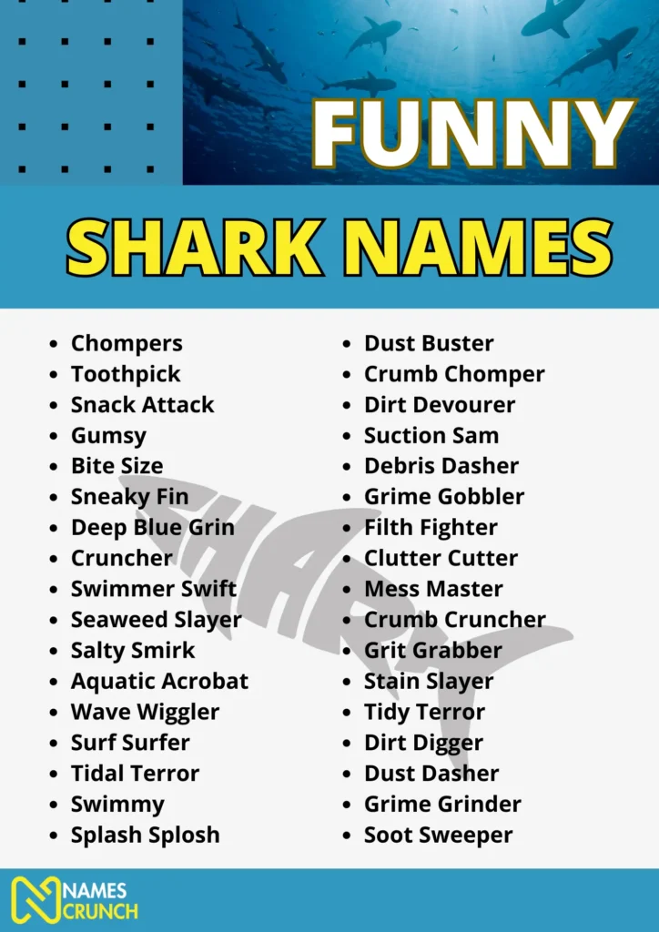 Funny Shark Names - Infographic by Names CRUNCH