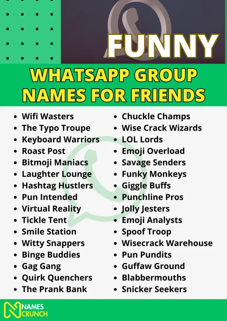 Funny Whatsapp Group Names for Friends infographic