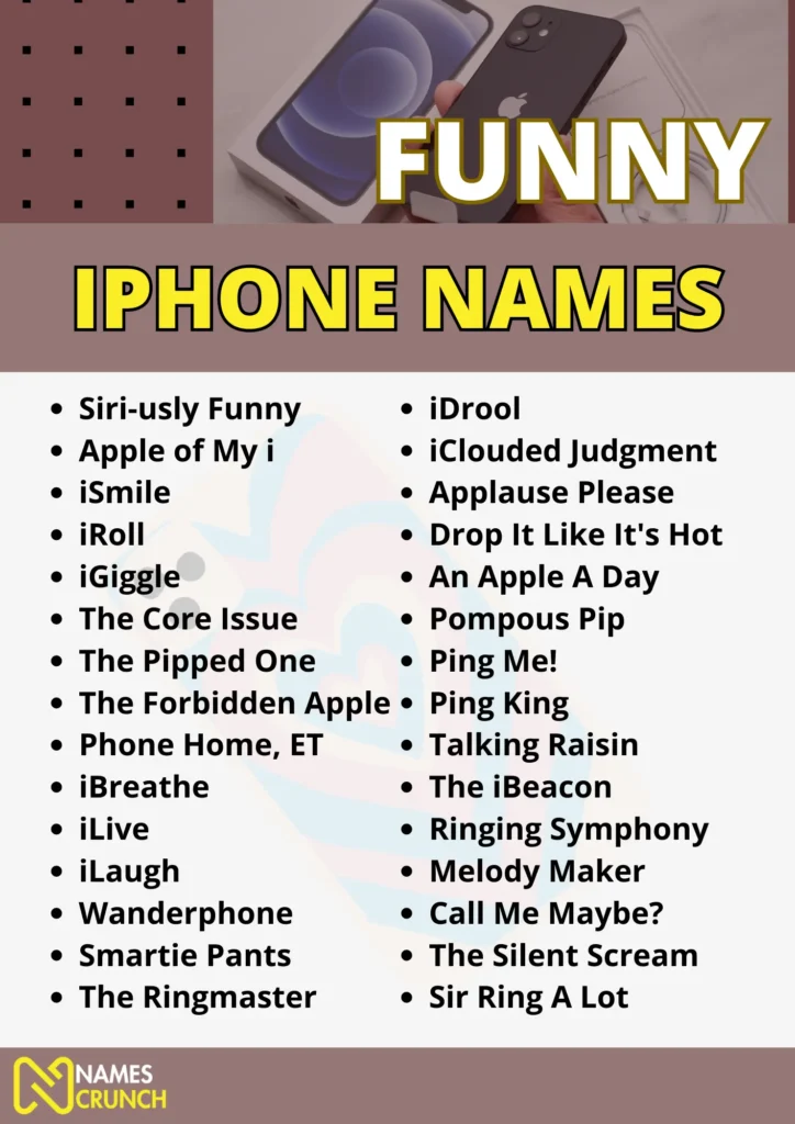 Funny iPhone Names Infographic