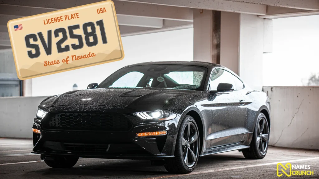 Cool License Plate Names for Mustangs (1)