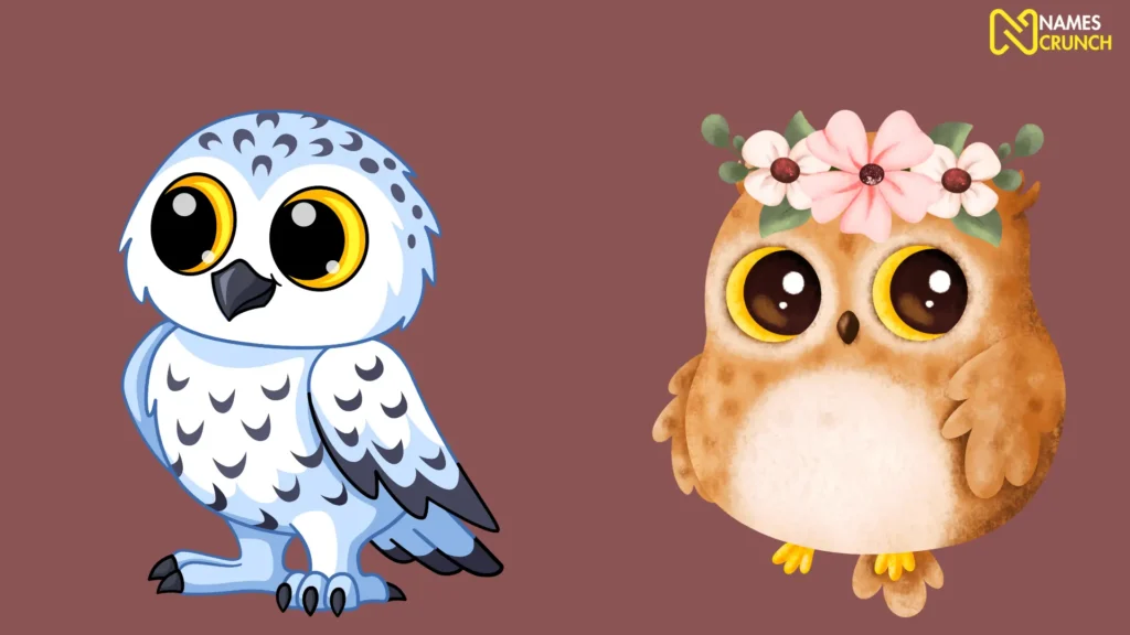 Funny Baby Owl Names