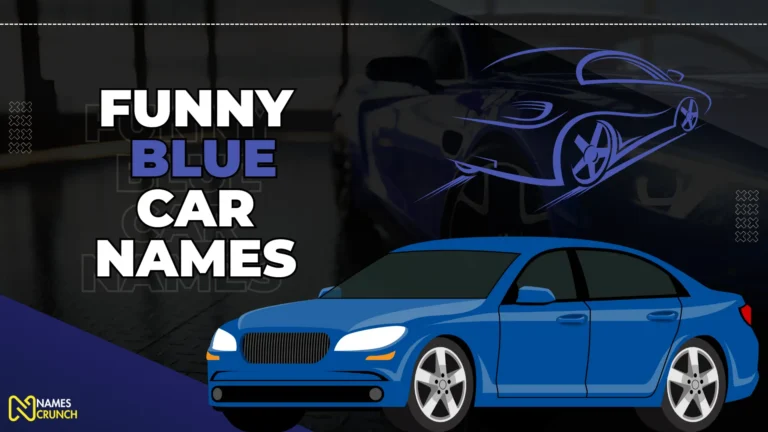 Funny Blue Car Names