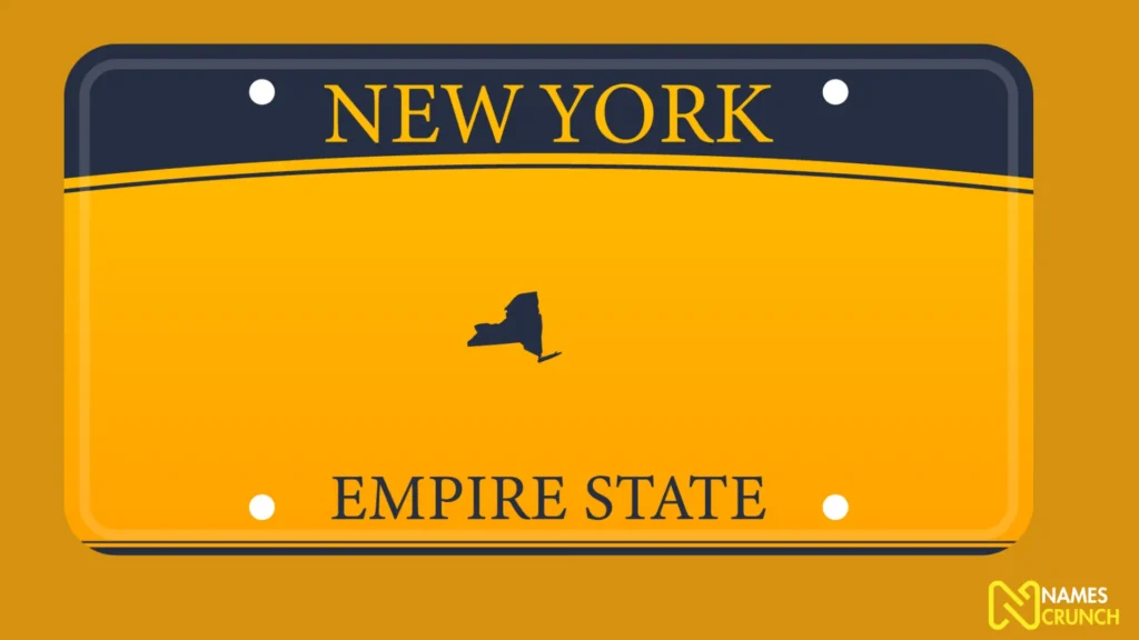 Funny Car License Plate Names