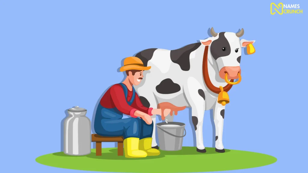 Funny Dairy Cow Names 