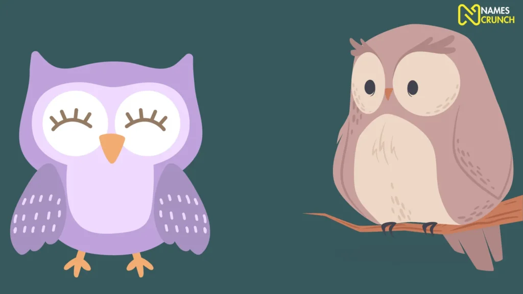 Funny Female Owl Names
