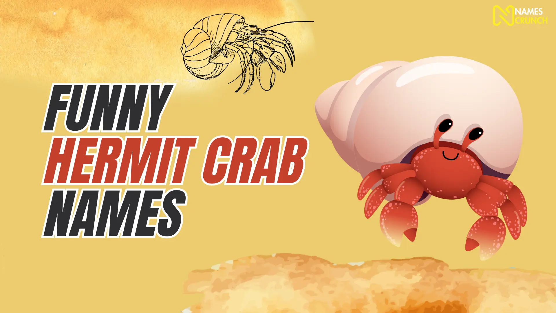 Funny Hermit Crab Names 