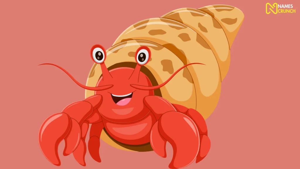 Funny Hermit Crab Names for Girls