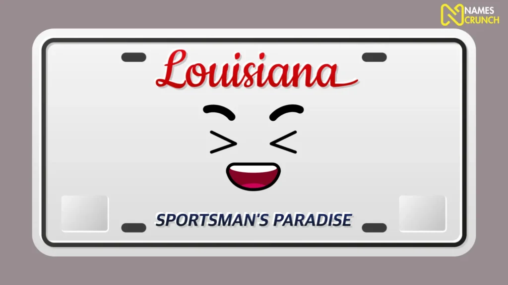 Funny License Plate Names - Infographic by NamesCrunch