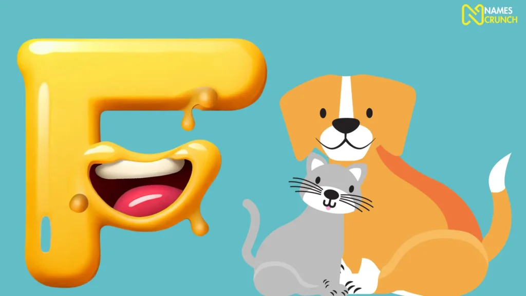 Funny Names That Start with F for Pets