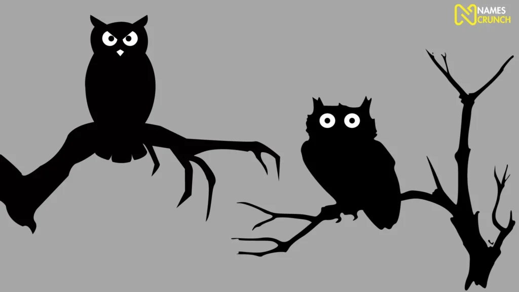 Funny Names for Night Owl