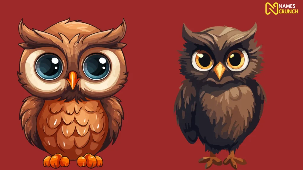 Funny Names for Pet Owl (1)