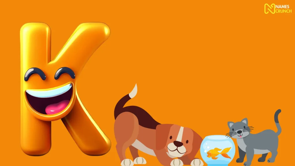 Funny Names that Start with K for Pets