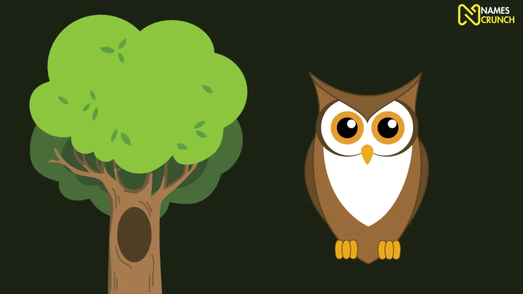 Funny Owl House Names