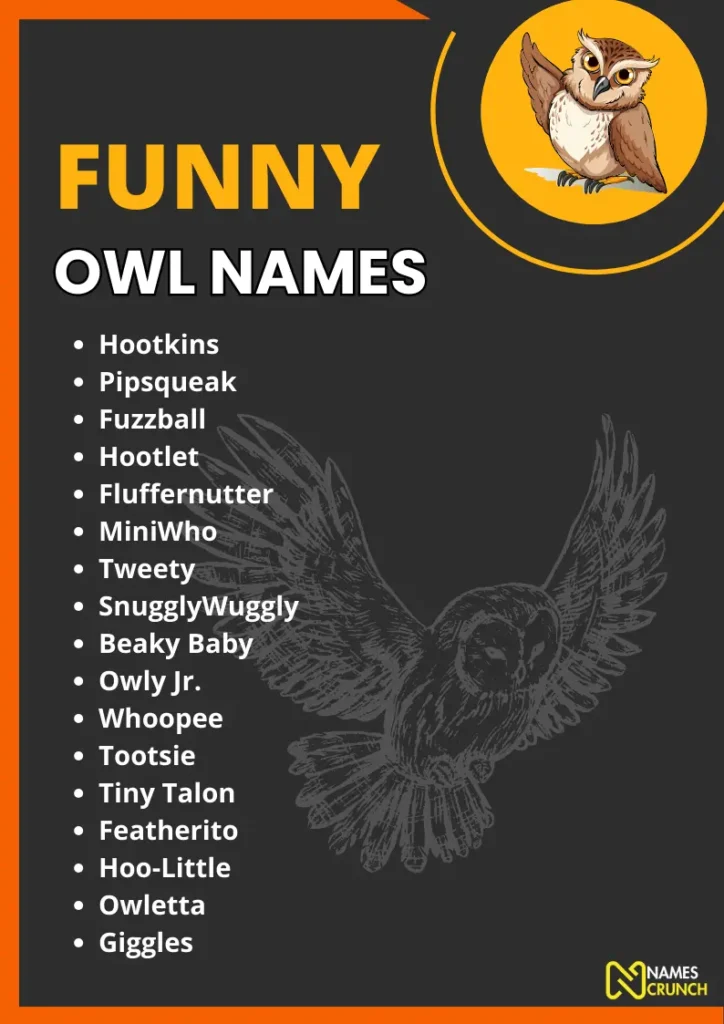 Funny Owl Names - Infographic By NamesCrunch