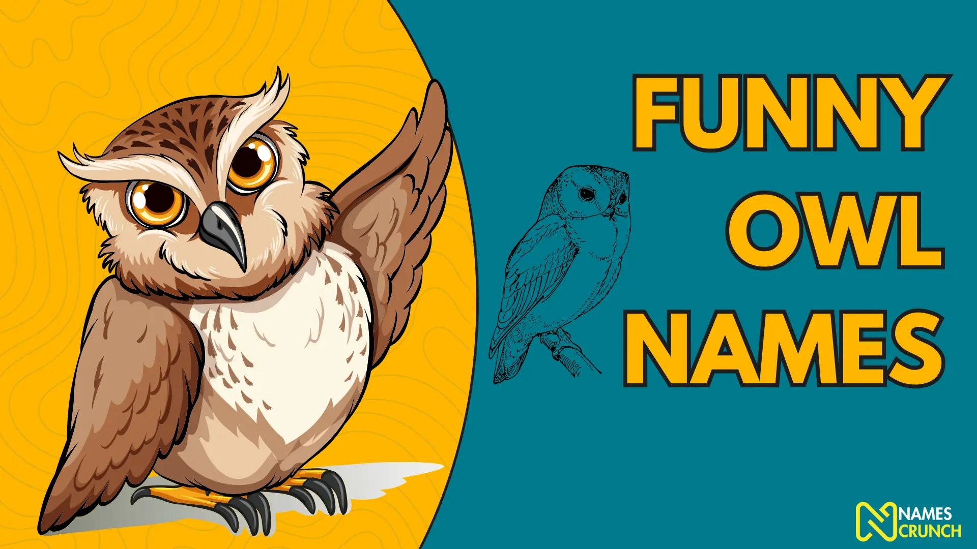 Funny Owl Names