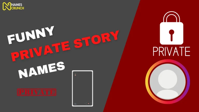 Funny Private Story Names
