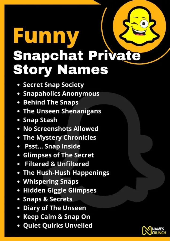 Funny Snapchat Private Story Names infographic - Names crunch