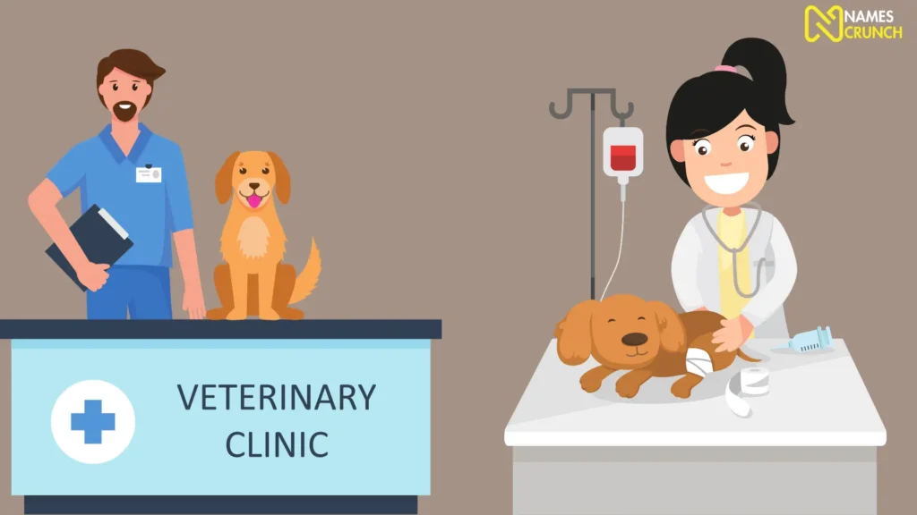 Funny Vet Doctor Names