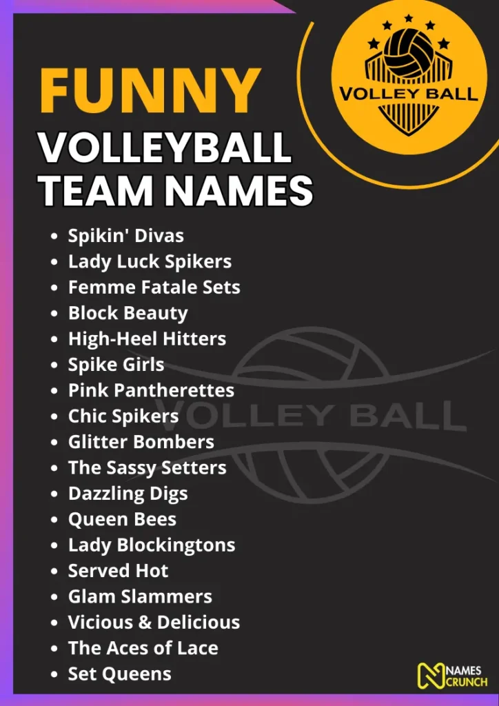 Funny Volleyball Team Names (With Meanings) infographic