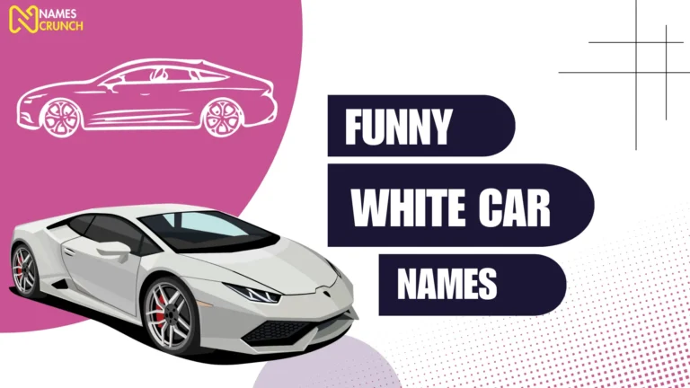 Funny White Car Names