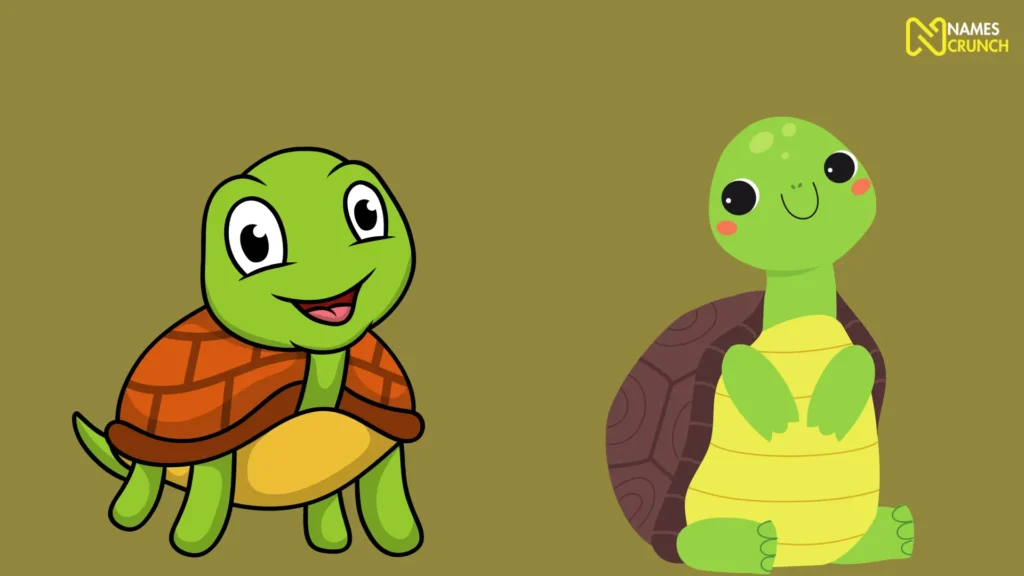 Cute Turtle Names