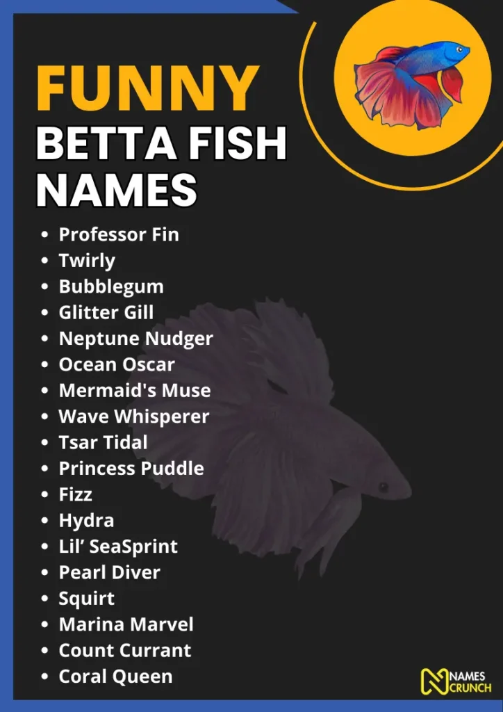 Funny Betta Fish Names infographic