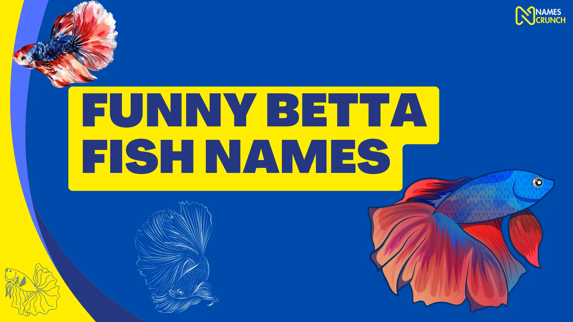 Funny Betta Fish Names