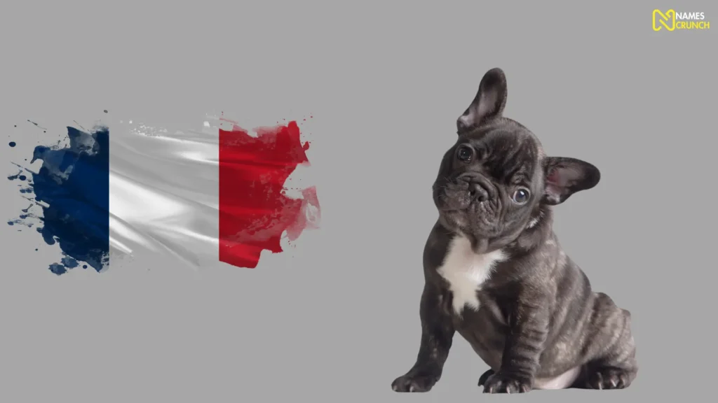 Funny French Dog Names (1)
