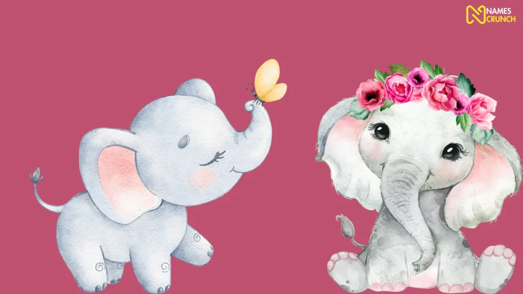 Funny Girl Elephant Names