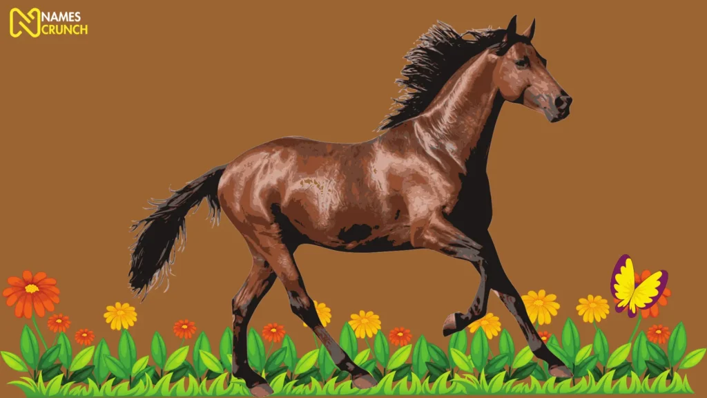 Funny Horse Names - NamesCrunch