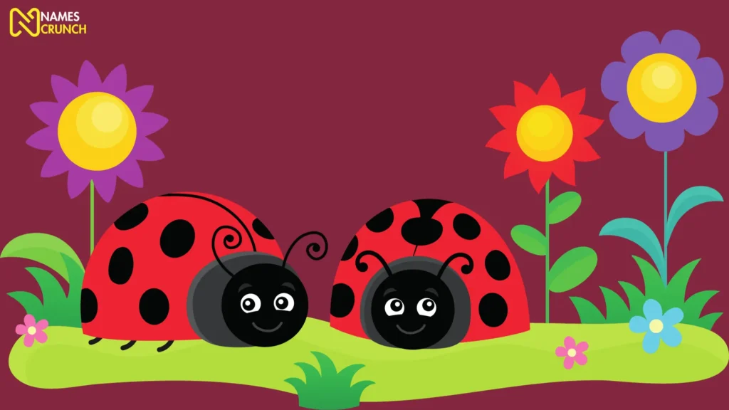 Funny Ladybug Names Ideas List
