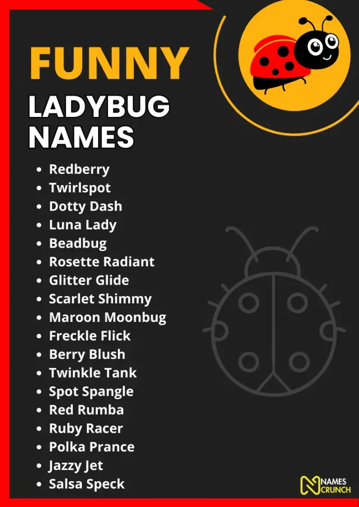 Funny Ladybug Names (With Meanings) infographic