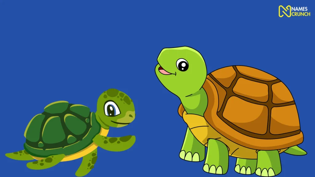 Funny Male Turtle Names