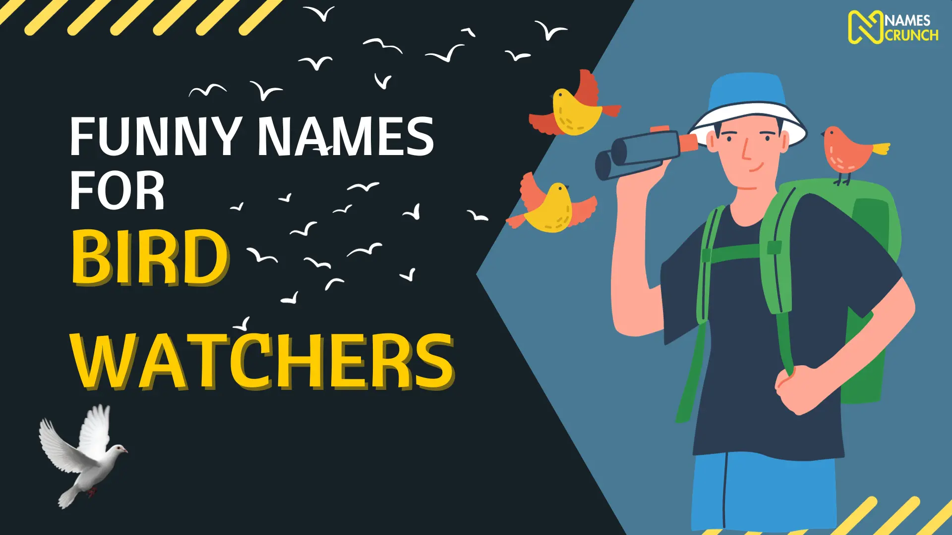 Funny Names for Bird Watchers