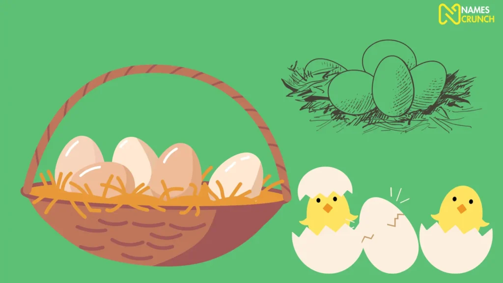 Funny Names for Chicken Eggs Ideas List