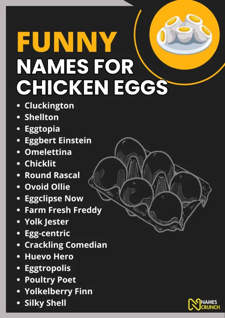Funny Names for Chicken Eggs infographic