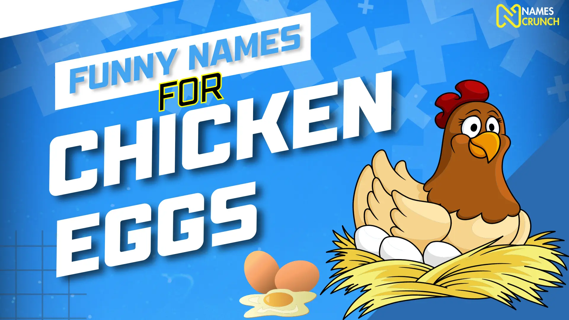 Funny Names for Chicken Eggs