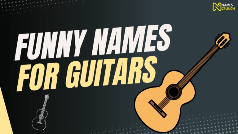 Funny Names for Guitars