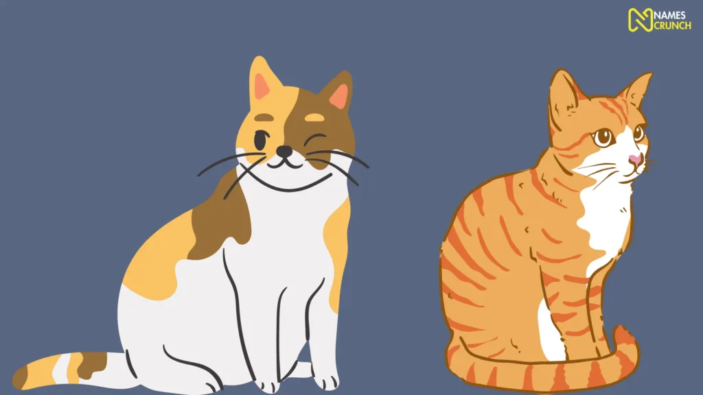 Funny Names for Orange Male Cats