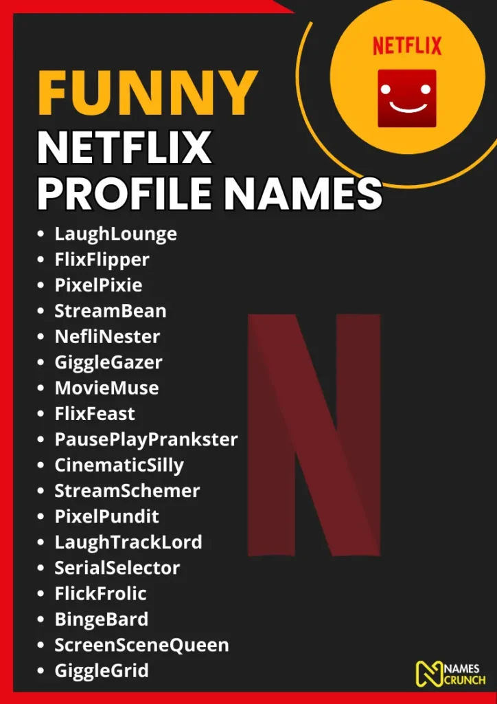 Funny Netflix Profile Names infographic