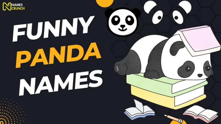Funny Panda Names
